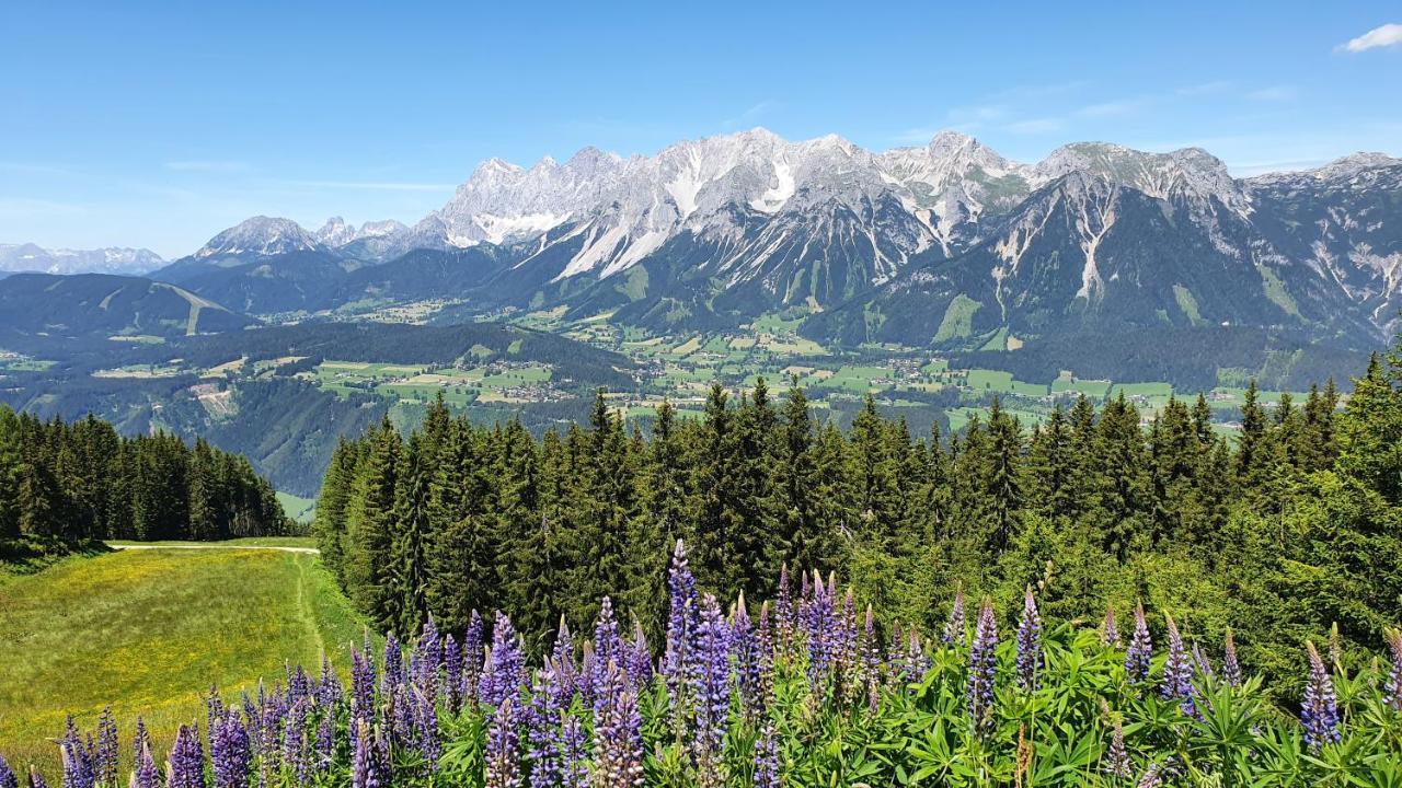 Вілла Schmiedlehnerhof Birnberg Екстер'єр фото