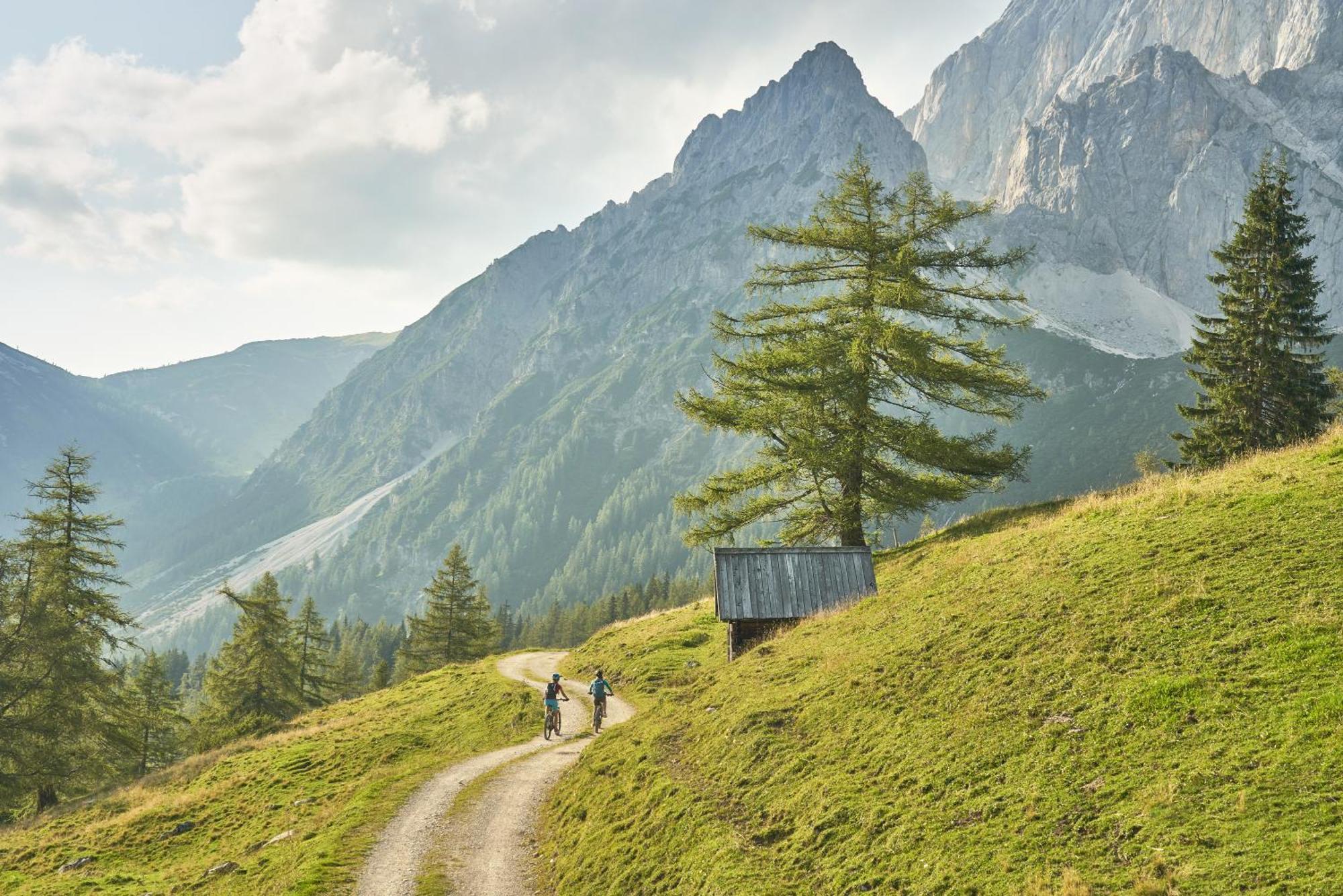 Вілла Schmiedlehnerhof Birnberg Екстер'єр фото